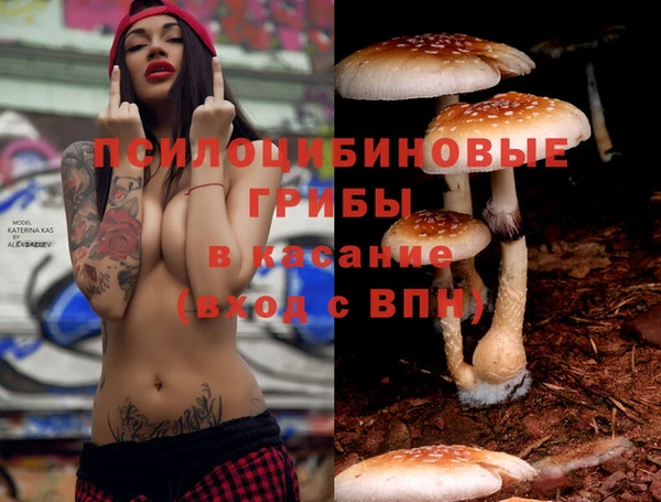 экстази Ельня