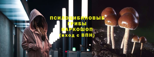 меф Медногорск