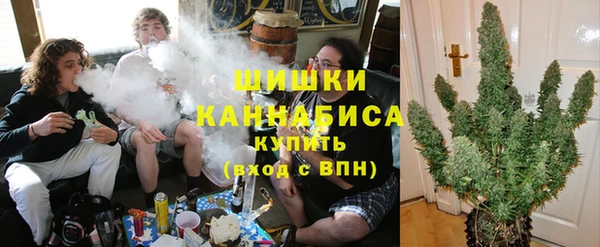 тгк Мегион