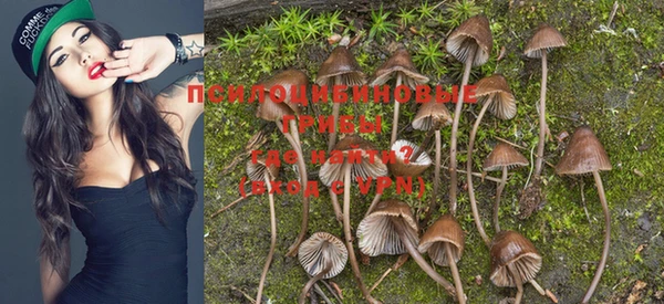 тгк Мегион