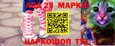 индика Кандалакша