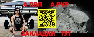 индика Кандалакша