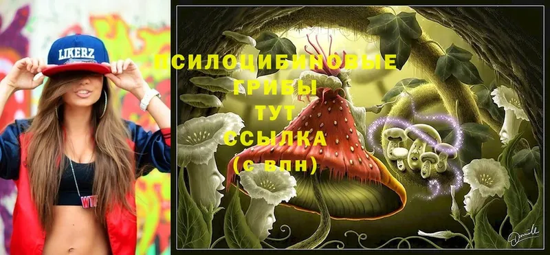 Галлюциногенные грибы GOLDEN TEACHER  omg ссылки  это как зайти  Печора 