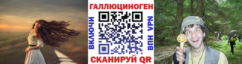 Псилоцибиновые грибы прущие грибы  Печора 