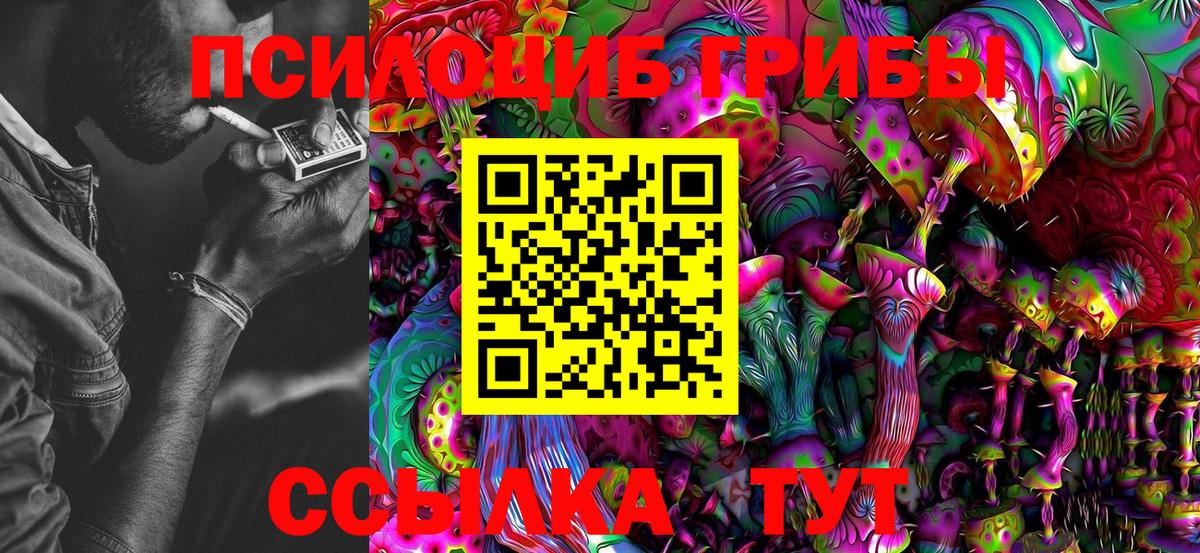 Псилоцибиновые грибы MAGIC MUSHROOMS Печора