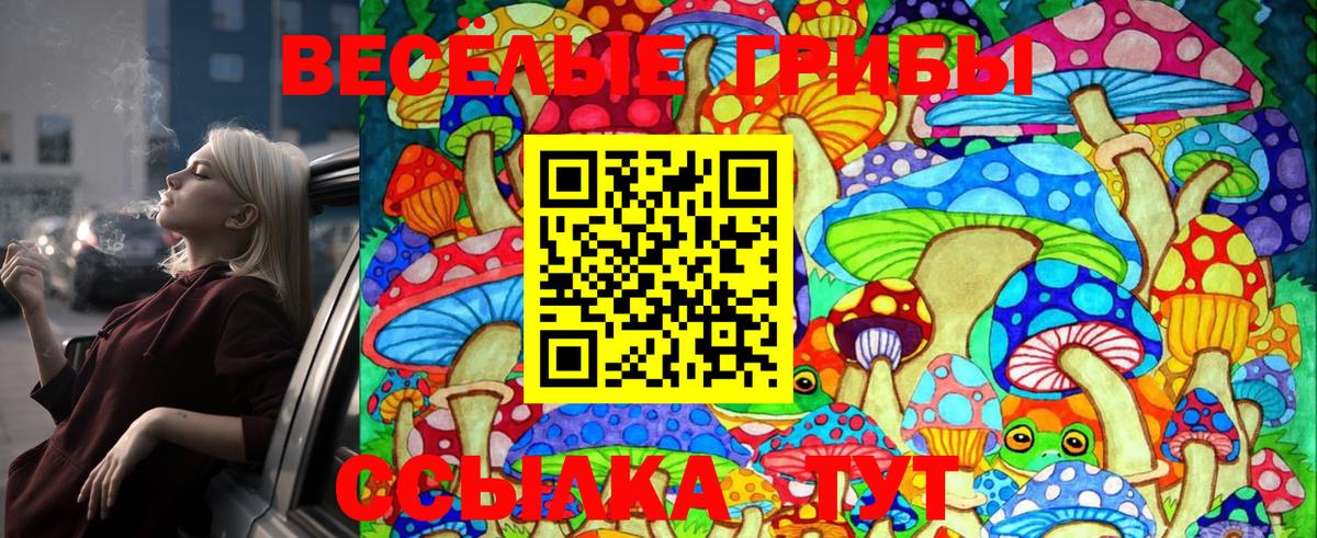 цена наркотик  Вход с VPN  Псилоцибиновые грибы MAGIC MUSHROOMS  Печора  Галлюциногенные грибы мухоморы 